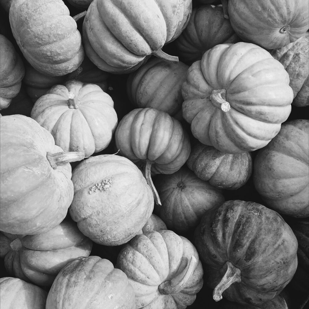 aroma pumpkin spice aroma pumpkin spice