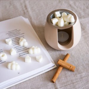 wax melts aroma a canela spice